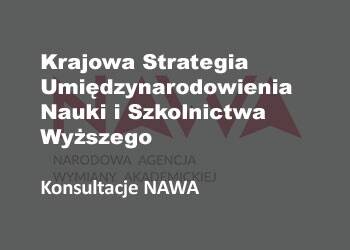 PRom dla Kajowej Strategii Umiędzynarodowienia